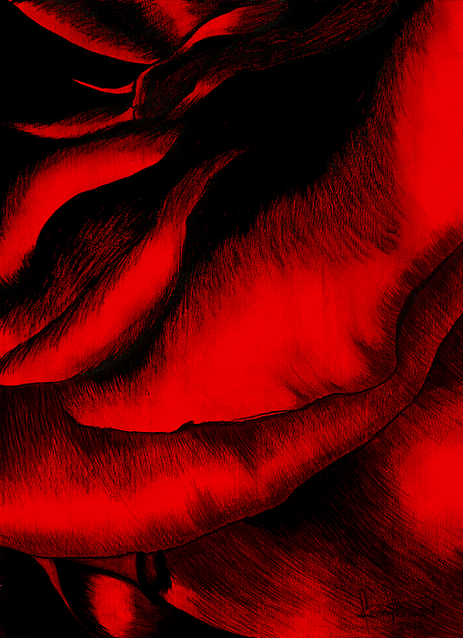 RED ROSE by FANNY DIAZ RED ROSE by FANNY DIAZ